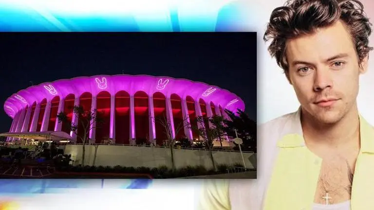 Harry Styles fan sues 'The Forum' for injuries sustained after crowd surge in 2019 concert Harry Styles