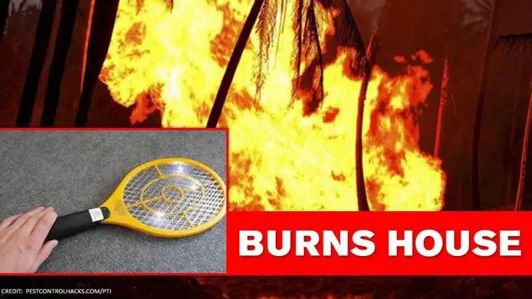 France: Elderly man sets house on fire while trying to kill fly