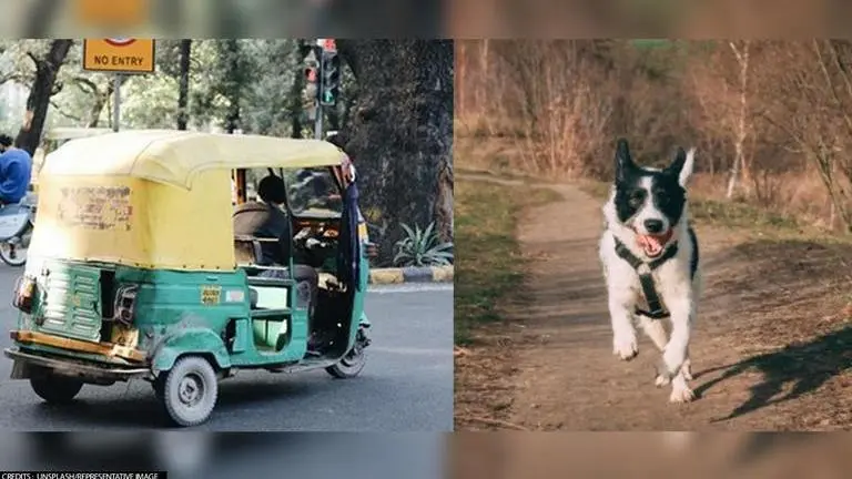 Pakistan: Gujranwala commissioner deploys state machinery to search missing dog, lambasted Pakistan