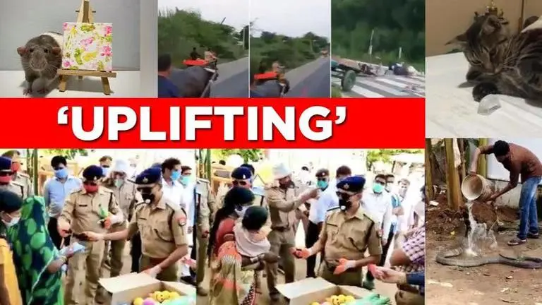 Good News: Five amazing stories wining internet amid COVID-19 gloom Good News