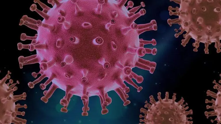 WHO backs 'vaccine equity' as global coronavirus death toll passes three million mark COVID-19