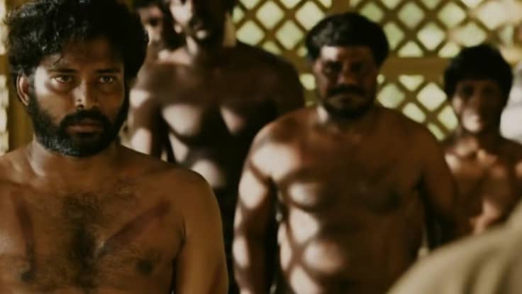 Description of the pic