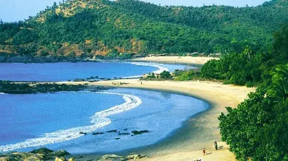 Description of the pic