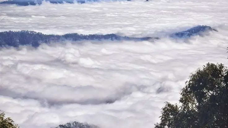 Be One With Nature In Binsar With Red-Rhododendron Weekend, Nanda Devi Views Binsar