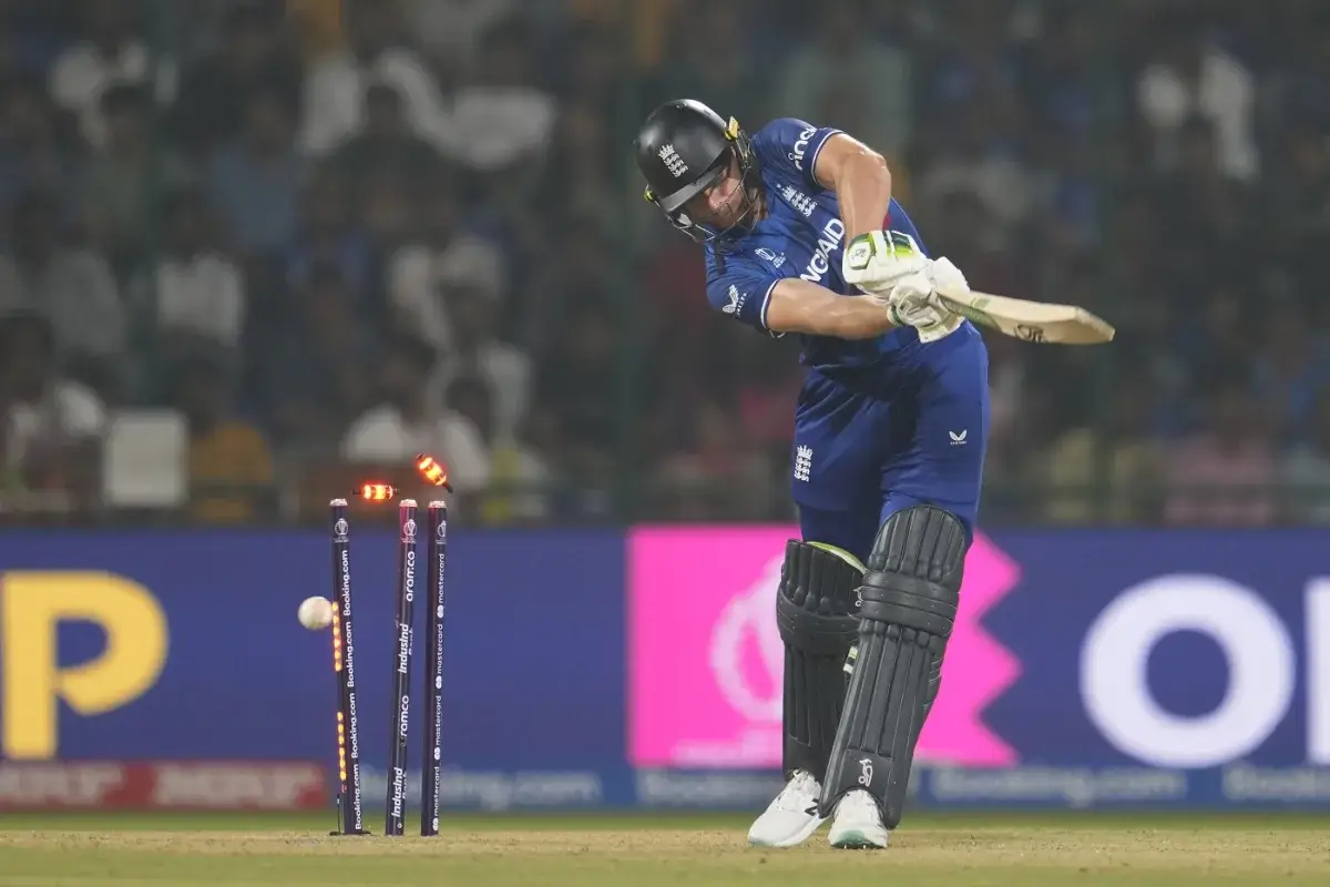 Description of the pic