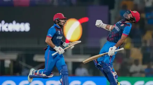 Description of the pic