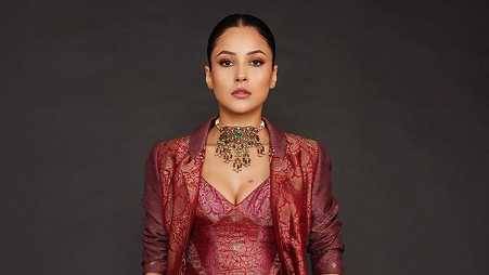 Description of the pic