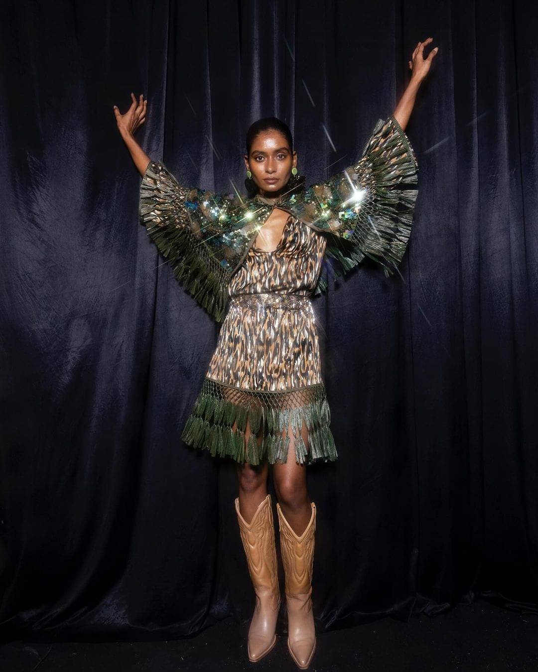 Description of the pic