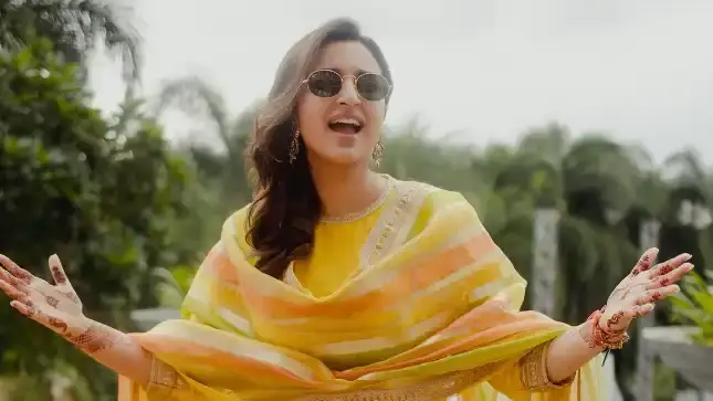 Description of the pic