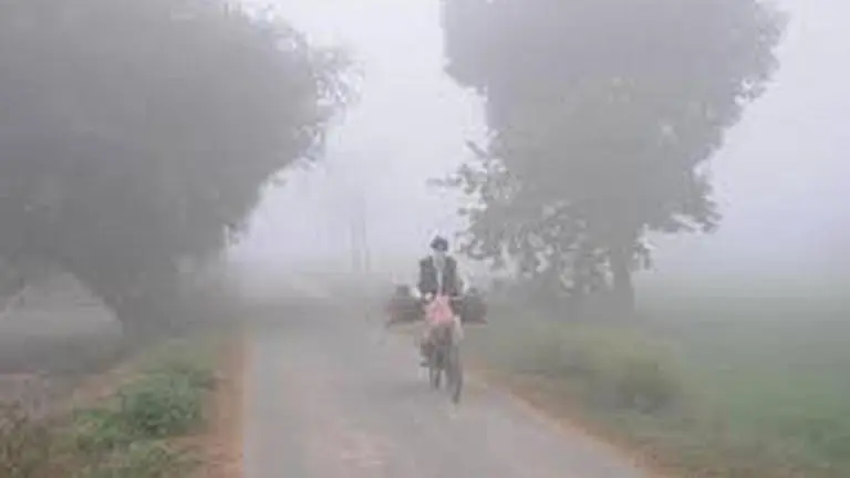 Cold wave prevails in most parts of Punjab, Haryana Cold wave