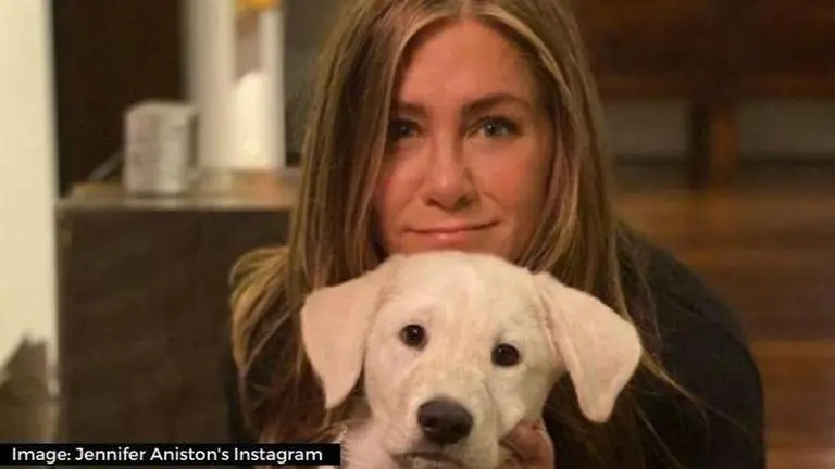 Jennifer Aniston net worth 2021: Details about the FRIENDS actor's earnings jennifer aniston net worth 2021