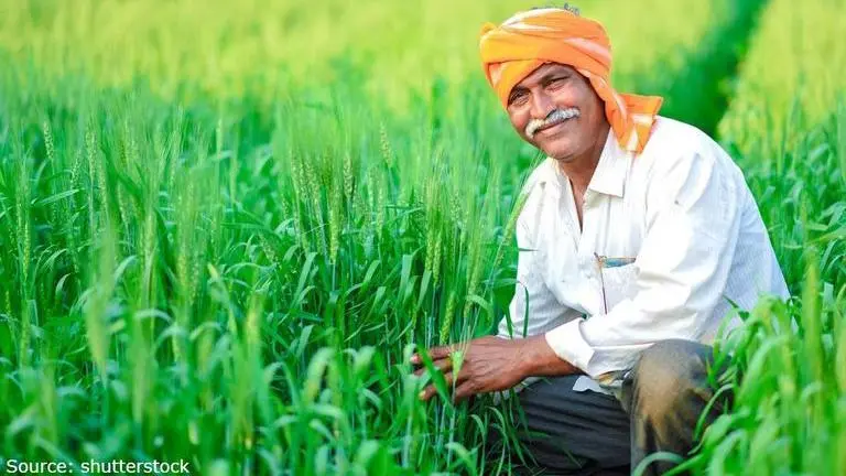 PM Kisan Yojana status: How to check the current status of this scheme? Image Source: shutterstock
