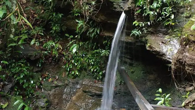 Police: Brazil man admits raping Japanese woman before death