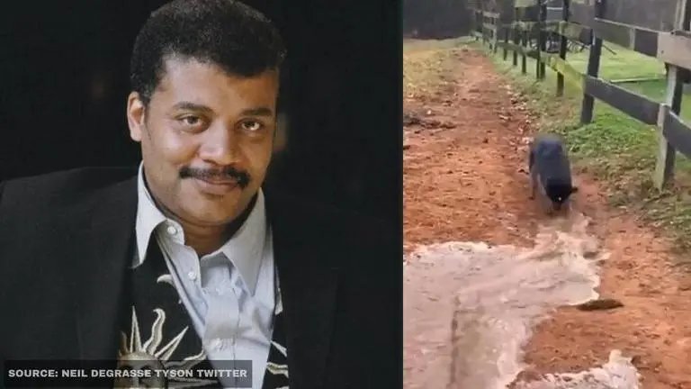 Neil deGrasse Tyson is in 'love' with a cattle dog who helps in 'field irrigation'; watch Neil DeGrasse Tyson