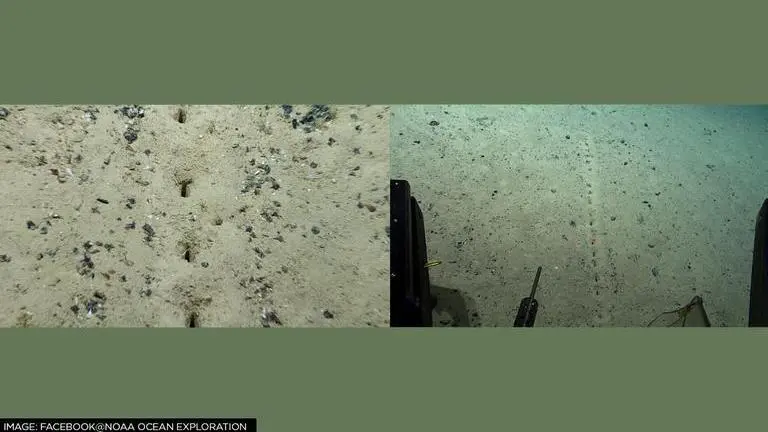 Mysterious holes on Atlantic's ocean floor leave scientists baffled; trigger alien theory atlantic ocean