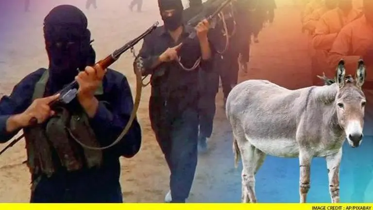 Islamic State terrorists strap donkey with bombs to attack governor in Nigeria Donkey