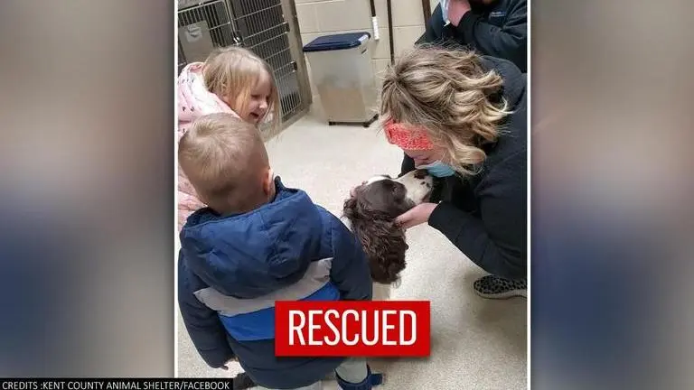 'Never lost hope': Missing dog braves snow storm, hunger for 43 days; reunited with family Dog