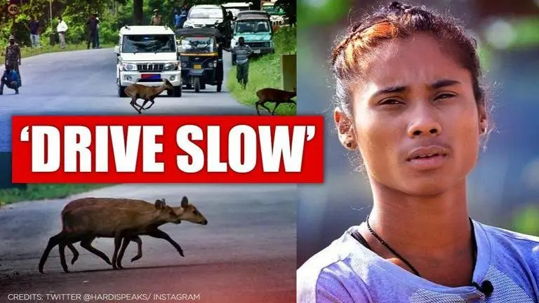 Hima Das urges people to be proactive near Kaziranga to ensure safety of animals Hima Das