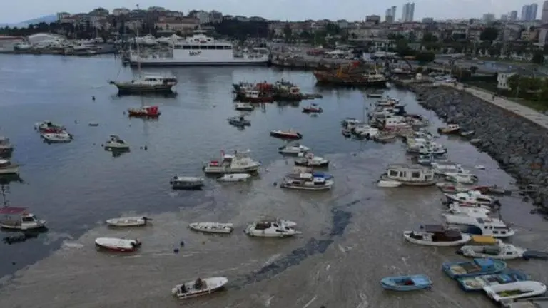 'Huge' mass of marine mucilage in parts of Turkey being cleaned up