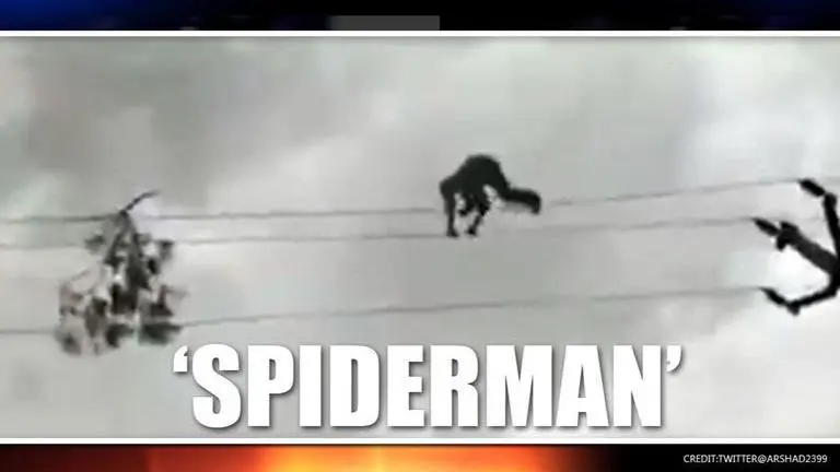 Video: Telangana man walks on high-tension wires, netizens call him 'Indian Spiderman' Telangana