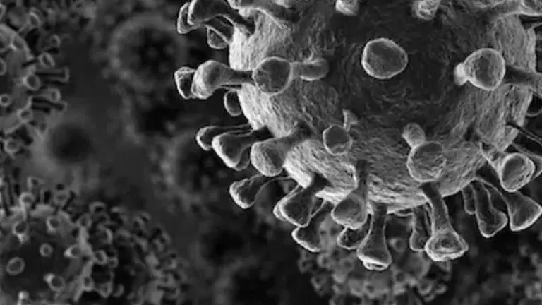 Coronavirus cases cross 150,000 in Europe, including 53,000 in Italy Europe: Cases of coronavirus reach 150,000, including 53,000 in Italy