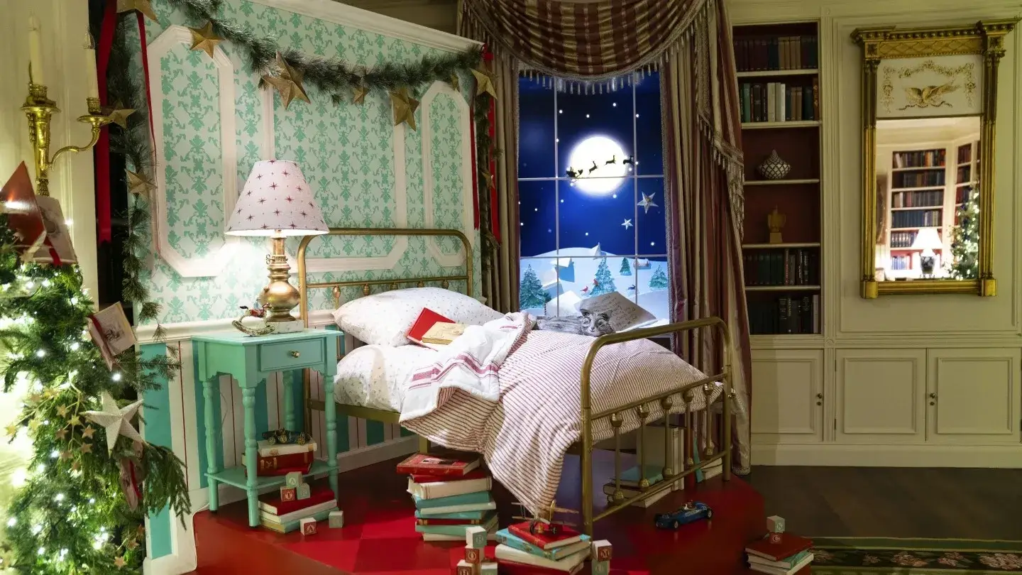 Description of the pic