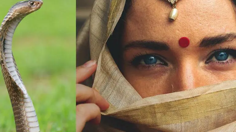 Assam: New snake species with red 'Bindi-like' mark found for the first time in 100 Years Assam, Red Bindi Mark on snake,
