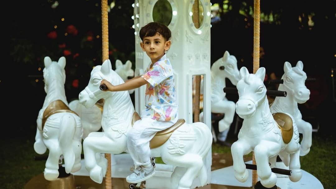 Description of the pic