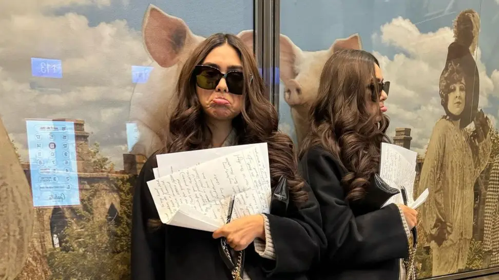 Description of the pic