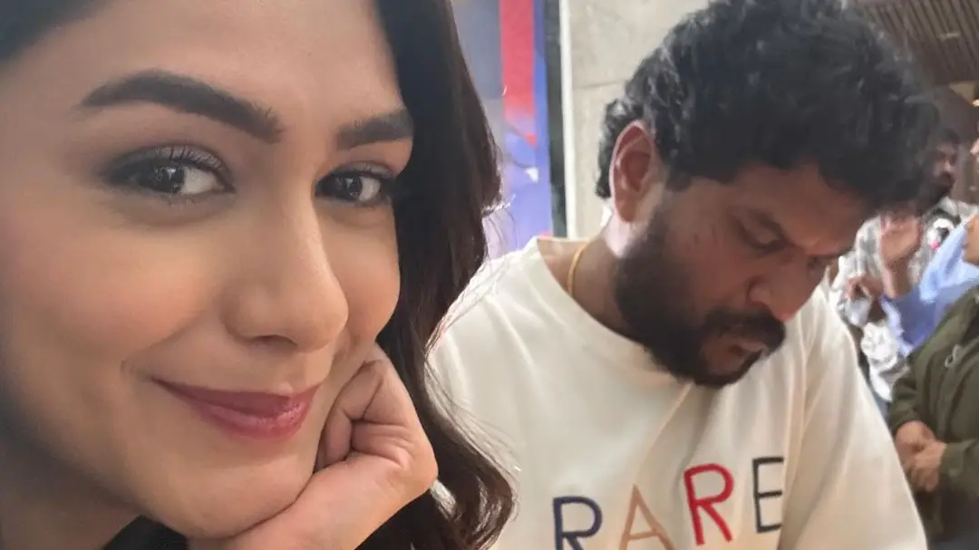 Description of the pic