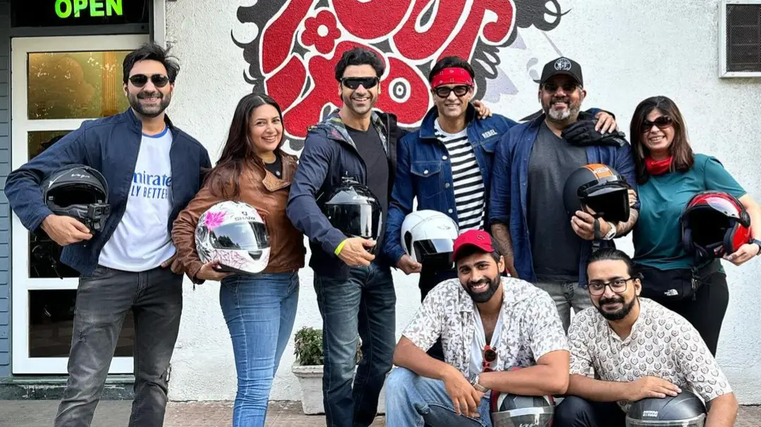 Description of the pic