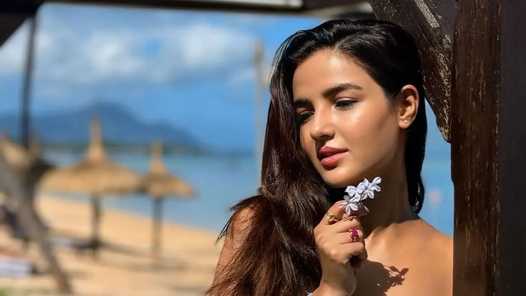 Description of the pic