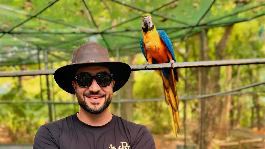 Description of the pic