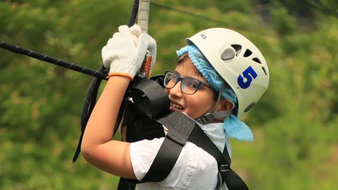 Description of the pic