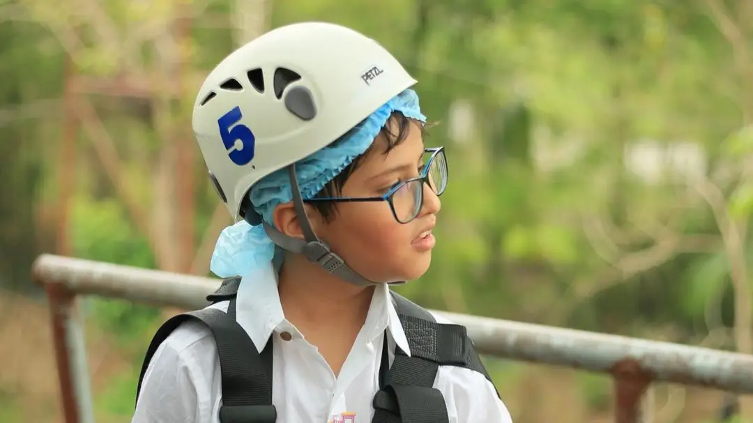 Description of the pic