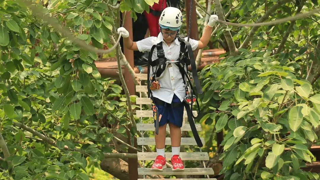 Description of the pic