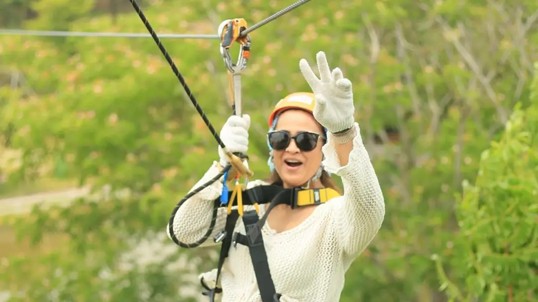 Description of the pic