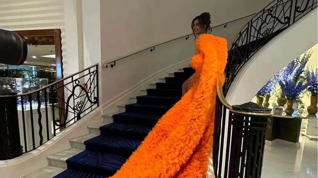 Description of the pic