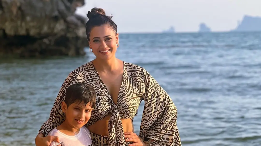 Description of the pic