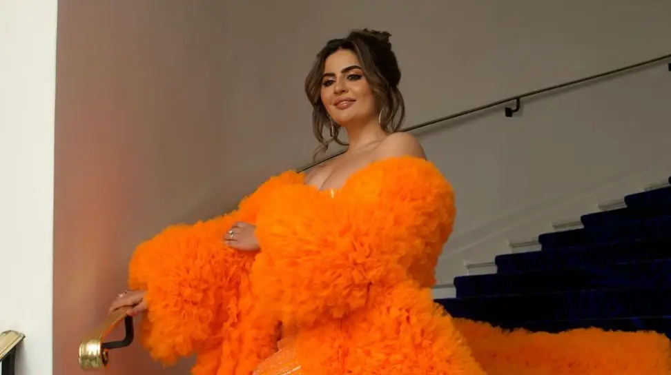 Description of the pic