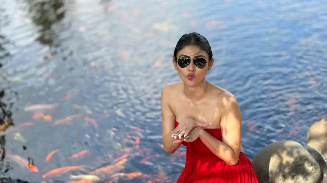 Description of the pic