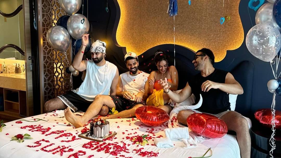 Description of the pic