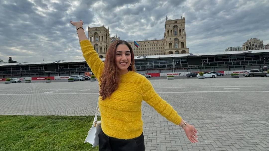 Description of the pic