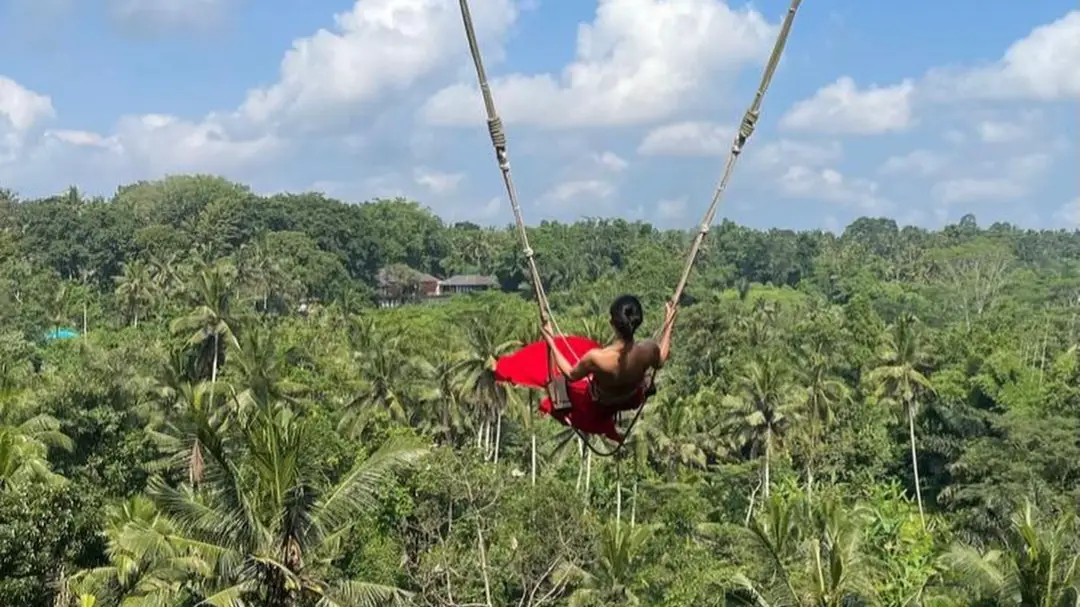 Description of the pic