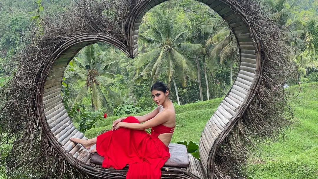 Description of the pic