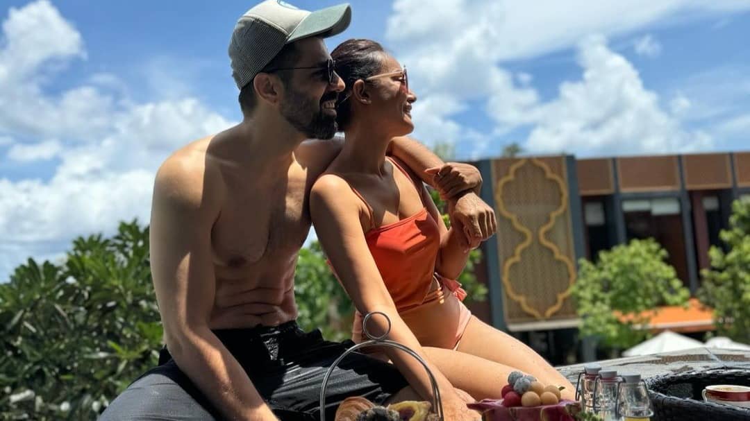 Description of the pic