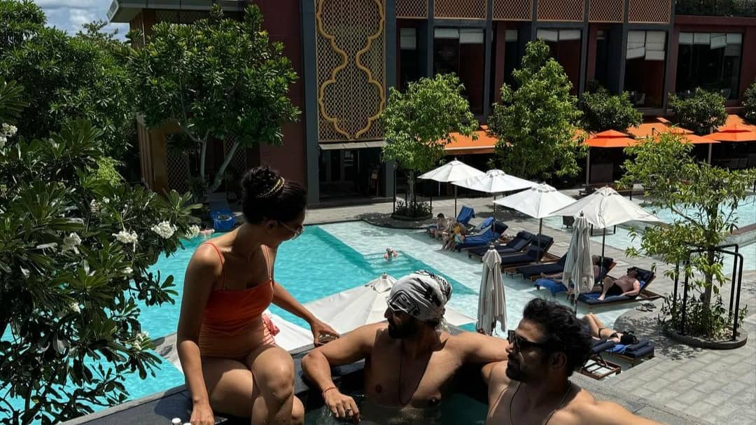 Description of the pic