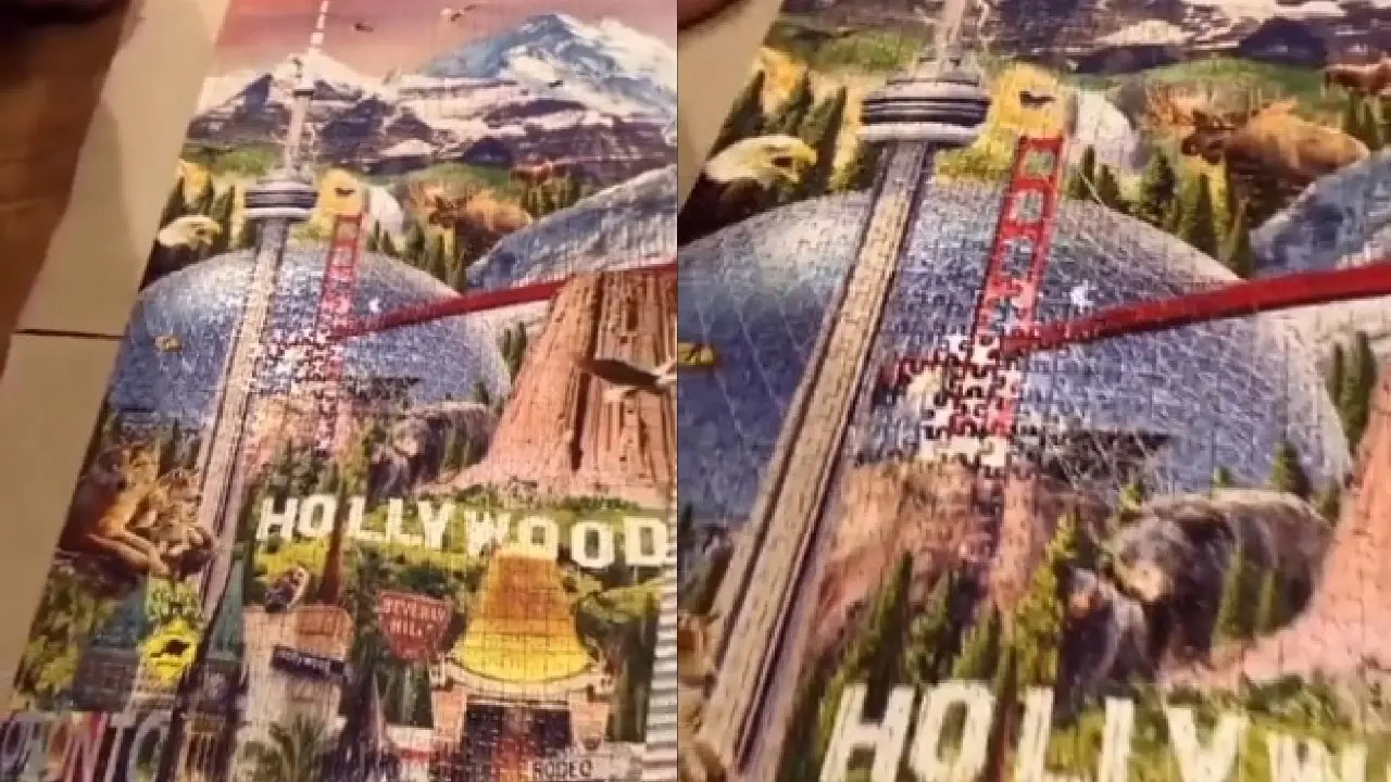 Viral: 42,000-Piece Puzzle Challenge Video Grabs Attention Online| Watch This video crosse 18.1 million views on social media