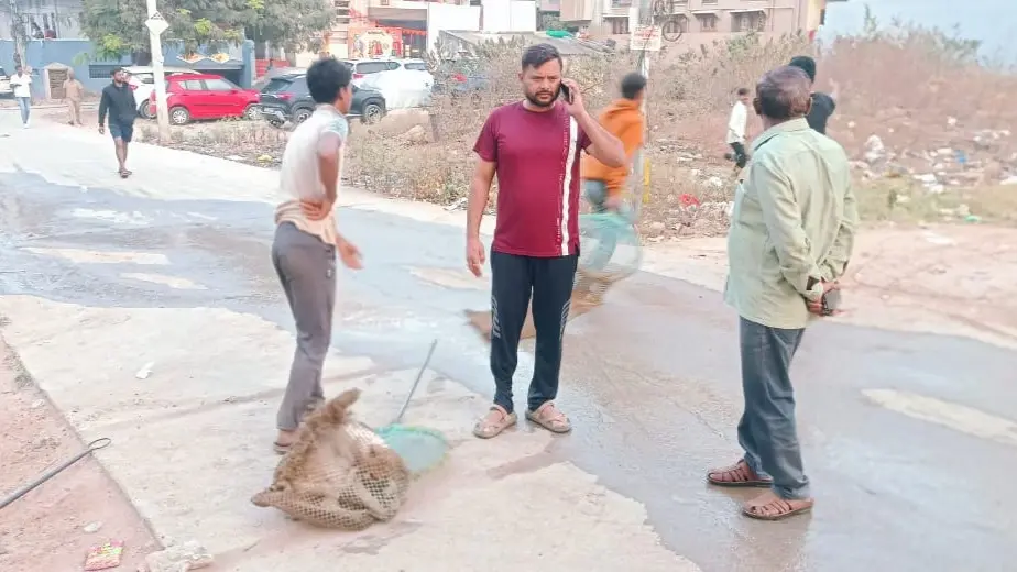 One-Year-Old Mauled to Death