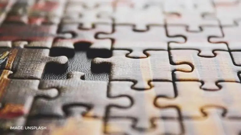 There was a thief on a snowy day puzzle: Who is the thief? Find the answer there was a thief on a snowy day puzzle